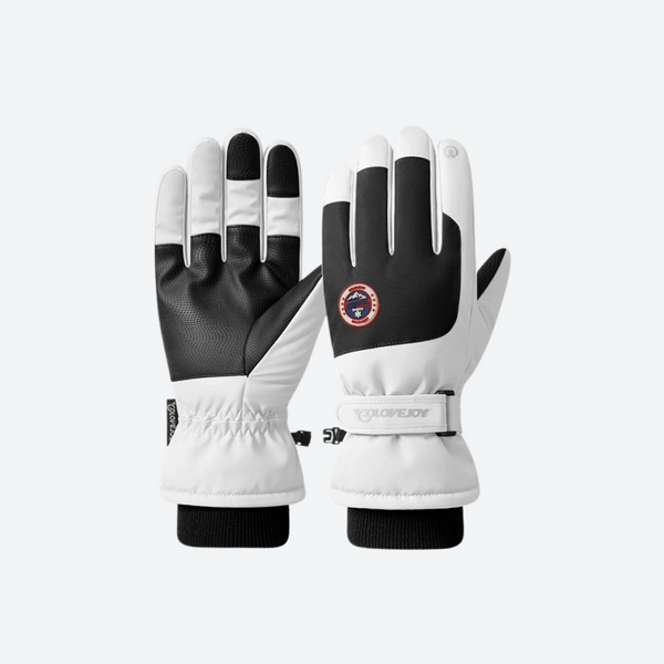 Blizzard Vollfinger-Schneehandschuhe