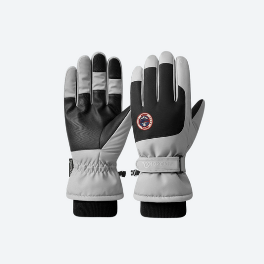 Blizzard Full-Finger Snow Gloves